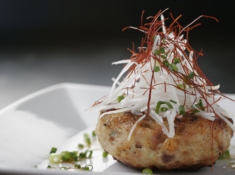 HP_料理撮影_ダミー  のコピー 8.JPG